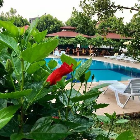 More Beach Hotel *