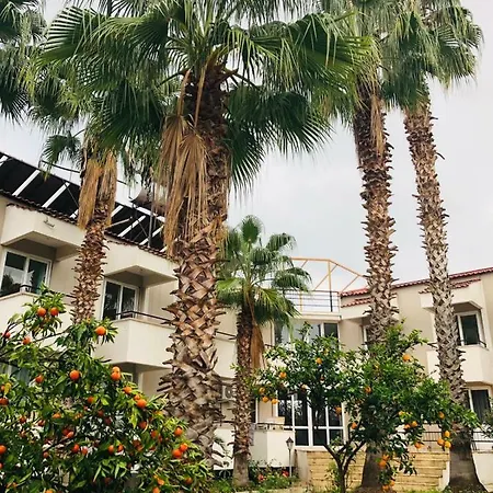 فندق More Beach *