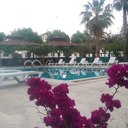 More Beach تيكيروفا