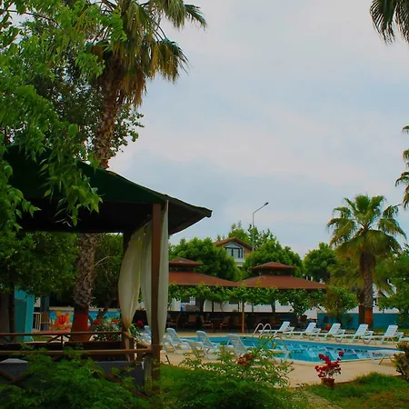 More Beach * تيكيروفا