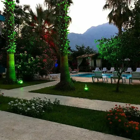 More Beach * تيكيروفا