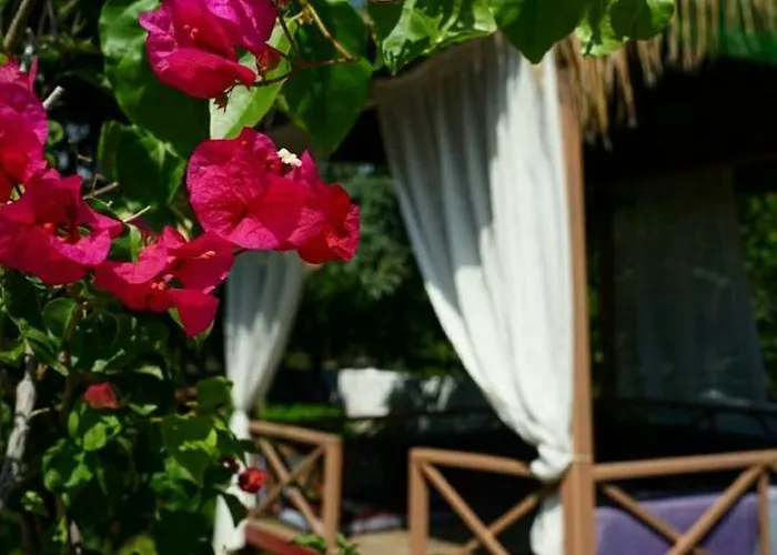 More Beach * Tekirova